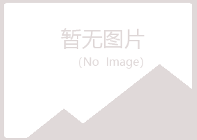 阳江江城女孩制造有限公司